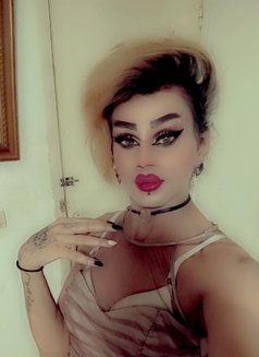 Misha Al3sal - Transsexual escort agency in Beirut Photo 4 of 11