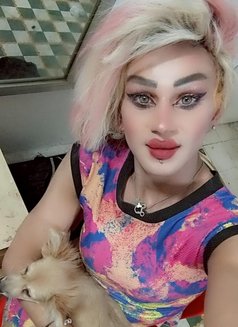 Misha Al3sal - Transsexual escort agency in Beirut Photo 6 of 11