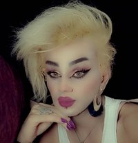 Misha Al3sal - Agencia de acompañantes transexuales in Beirut