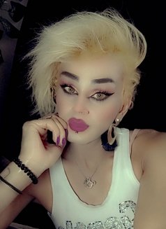 Misha Al3sal - Transsexual escort agency in Beirut Photo 10 of 11