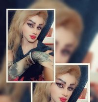 Misha Al3sal - Agencia de acompañantes transexuales in Beirut