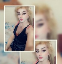 Misha Al3sal - Agencia de acompañantes transexuales in Beirut