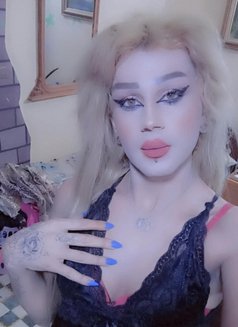 Misha Al3sal - Transsexual escort agency in Beirut Photo 13 of 19