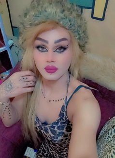 Misha Al3sal - Transsexual escort agency in Beirut Photo 21 of 25