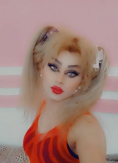 Misha Al3sal - Transsexual escort agency in Beirut Photo 25 of 25