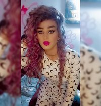 Misha Al3sal - Transsexual escort agency in Beirut