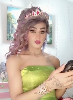 Misha Al3sal - Transsexual escort agency in Beirut Photo 19 of 21