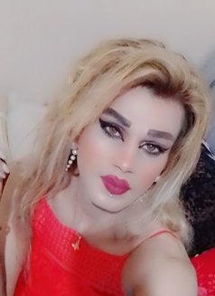Misha—alassal - Acompañantes transexual in Beirut Photo 2 of 10
