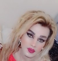 Misha—alassal - Transsexual escort in Beirut