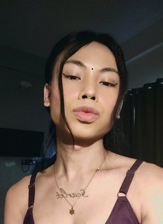 Shemale here tlgrm id (@Sha_08d) - Transsexual escort in Kolkata Photo 3 of 3