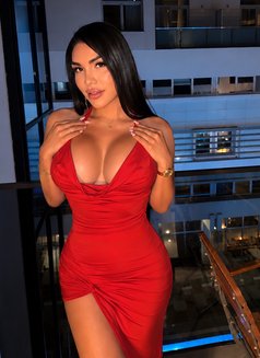 Mishell Latin goddess - Acompañantes transexual in Marbella Photo 11 of 13
