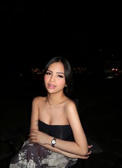 Mishka - puta in Taipei Photo 8 of 14