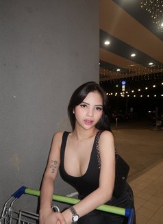 Mishka - puta in Taipei Photo 13 of 14