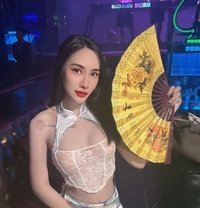 Miso - escort in Taipei