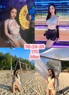 Miso - escort in Taipei Photo 3 of 3