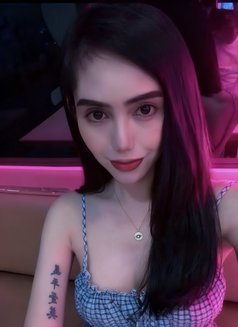 BabyGirl_Alice 🇵🇭🏳️⚧️ - Acompañantes transexual in Dubai Photo 1 of 12