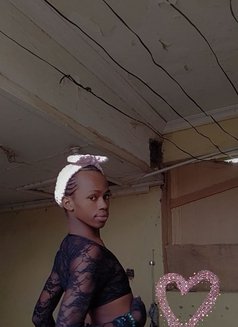 Miss All Wednesday - Transsexual escort in Nairobi Photo 1 of 6