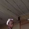 Miss All Wednesday - Transsexual escort in Nairobi