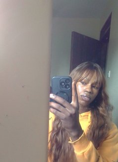 Miss All Wednesday - Acompañantes transexual in Nairobi Photo 5 of 5