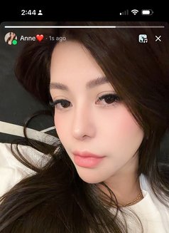 Miss Anne - escort in Hyderabad Photo 1 of 12