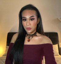 Miss Ashley - Dominadora transexual in Bangkok
