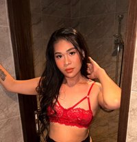 Miss Ashley - Transsexual escort in Singapore