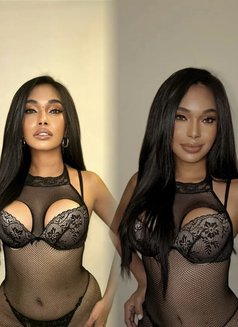 Miss ASIA - Transsexual escort in Hong Kong Photo 26 of 26