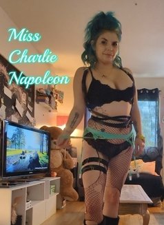 Miss Charlie Napoleon - dominatrix in Montreal Photo 2 of 3