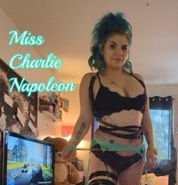 Miss Charlie Napoleon - Dominadora in Montreal