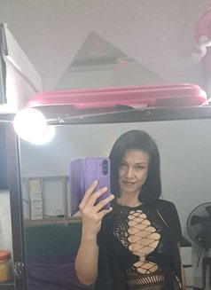 Miss D42 - puta in Phuket Photo 5 of 9