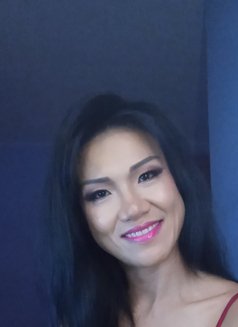Miss D42 - Acompañante in Phuket Photo 6 of 6
