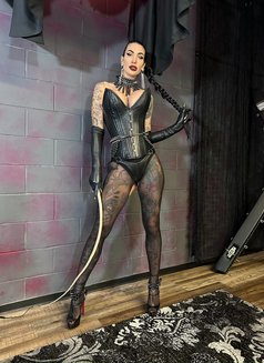 Miss Dama - puta in Hamilton, Canada Photo 2 of 2