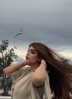 Miss Dianna world - Acompañantes transexual in Beirut Photo 5 of 11