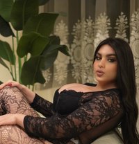 Miss Dianna World - Transsexual escort in Beirut