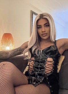 Miss Dona XL - Transsexual escort in Bangkok Photo 14 of 17