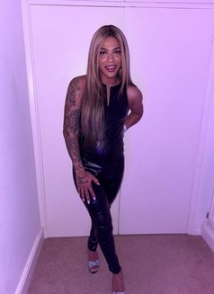 Miss Dona XL - Transsexual escort in Bangkok Photo 16 of 17