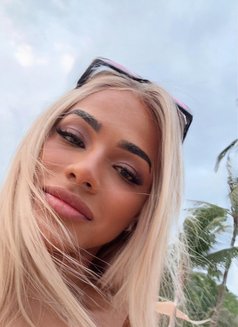 Miss Dona XL - Acompañantes transexual in Ko Samui Photo 18 of 19