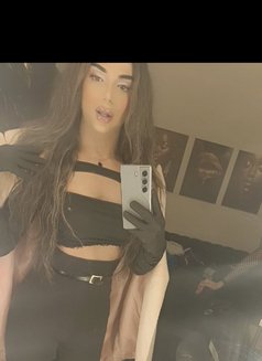 Miss Elis - Male escort in Beirut Photo 11 of 11