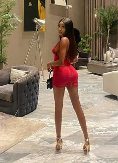 Miss H - escort in Beirut Photo 2 of 6