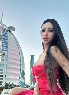 ⚜️🩸Miss Hard Cock Shemale - Transsexual escort in Dubai Photo 4 of 23
