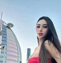 ⚜️🩸Miss Hard Cock Shemale - Transsexual escort in Dubai