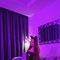 Miss Jenny🧚🏻‍♀️ - puta in Beirut