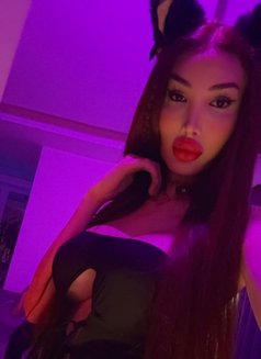 Miss Jenny🧚🏻‍♀️ - escort in Beirut Photo 12 of 16