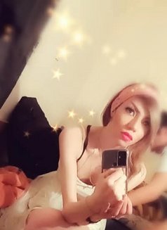 MISS JIJI - Acompañantes transexual in Beirut Photo 4 of 7