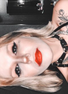 Miss Kira Rodshtein - puta in Phuket Photo 11 of 23