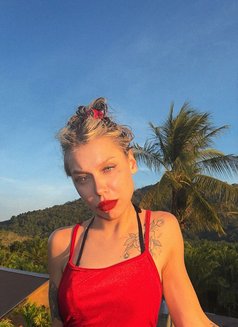 Miss Kira Rodshtein - puta in Phuket Photo 15 of 23