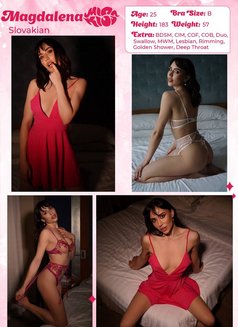 Miss Kiss Only Top Girls - Agencia de putas in Dubai Photo 29 of 30