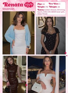 Miss Kiss Only Top Girls - escort agency in Dubai Photo 13 of 20