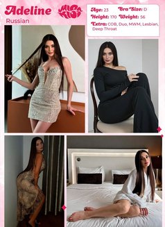 Miss Kiss Only Top Girls - escort agency in Dubai Photo 19 of 26