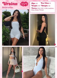 Miss Kiss Only Top Girls - escort agency in Dubai Photo 24 of 26
